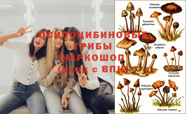 дурь Алексеевка