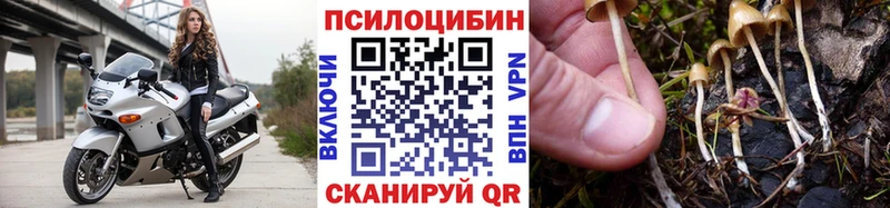 Галлюциногенные грибы мицелий  Рыбное 